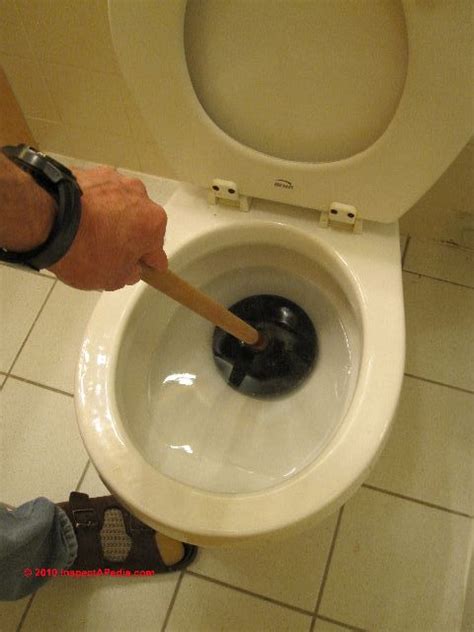 port moody clogged toilet repair